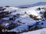 Vyškovec