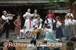 Mezinárodní armádní festival Rožnovská Valaška