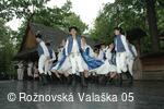 Mezinárodní armádní festival Rožnovská Valaška