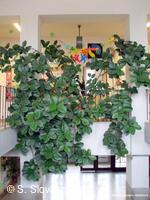 Z DĚNÍ VE MĚSTĚ