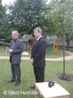 * Z DĚNÍ VE MĚSTĚ